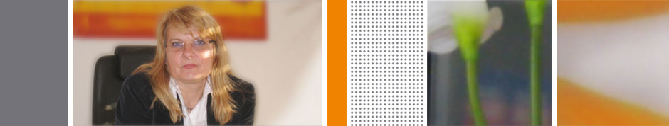 Bildwelt mit Foto von Birgitta Weiss-Zöphel - Rechtsanwältin und Fachanwältin für Familienrecht